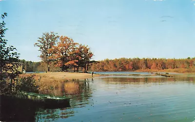 Greetings Manitowish Waters Wisconsin Below The Dam 1956 Vintage Postcard 123 • $4.99