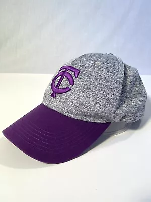 Minnesota Twins Purple & Grey SnapBack Cap Hat Melonware  • $9.95