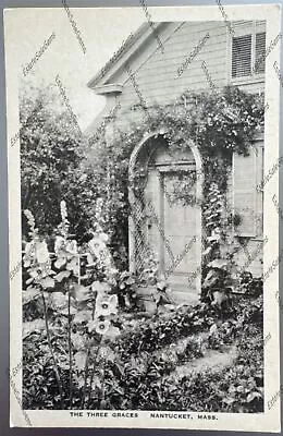 Vintage Postcard Nantucket Massachusetts Trellis Garden H. Marshall Gardiner • $19.99