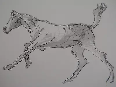 Pencil Drawing Of A Sculpture Of A Horse Galloping After Edgar Degas • £29.99