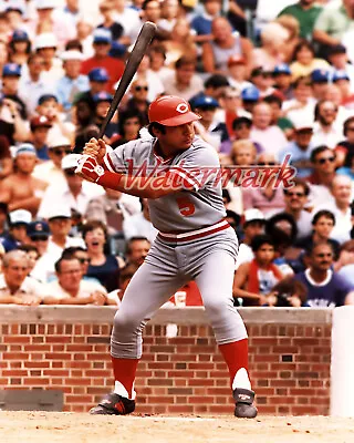 Cincinnati Reds Johnny Bench Wrigley Field At The Plate Color 8 X 10 Photo Pic • $5.59
