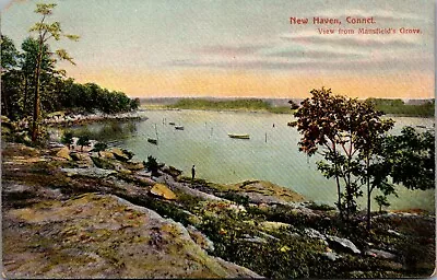Postcard CT New Haven Connecticut; View From Mansfield's Grove Br • $9.50