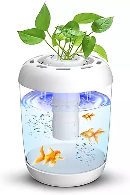 Betta Fish Tank 360° Small Aquarium Starter Kits With 7 Colors LED Lighting And  • $108.12