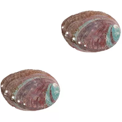  Abalone Shell For Smudging Temple Burning Container Decorations • £9.65