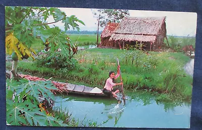 1968 Vietnam Native Scene Boat & Rural House Postcard • $4.50