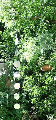 Garden  Hanging  Mirrors  Round Silver Mirrors Amazing ! Sparkly Circles Cottage • £11.99