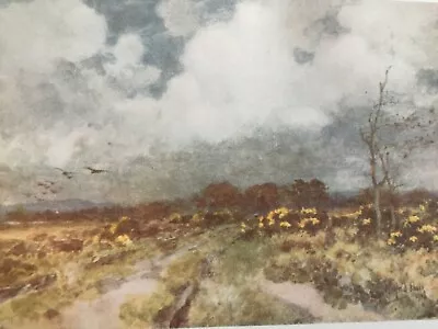 £4.50 • Buy Antique Print 1909 Near Liphook Bramshott Hampshire From Painting Wilfrid Ball