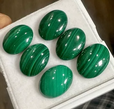 Antique Lot 16 X 12mm Cab MALACHITE Finest Quality 6 Pieces • $9.99