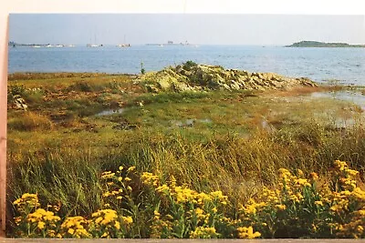 Maine ME Cape Porpoise Postcard Old Vintage Card View Standard Souvenir Postal • $0.50