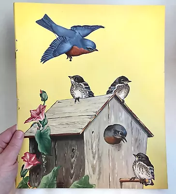 Vintage Bird Print Bookplate Bluebirds In Bird House 1942 Jacob Bates Abbott • $10