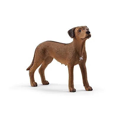 £6.23 • Buy 13895 Schleich Rhodesian Ridgeback Dog Farm Life Figure Animal Figurine Age 3+