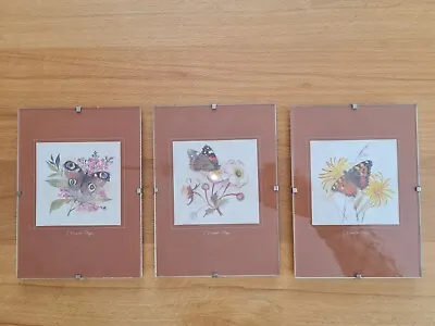 £20.12 • Buy 3x Mads Stage / Denmark Art Print / Picture / Watercolor: Butterfly / Butterfly