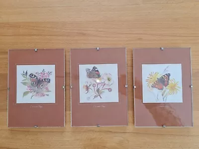 £20.12 • Buy 3x Mads Stage / Denmark Art Print / Picture / Watercolor: Butterfly / Butterfly