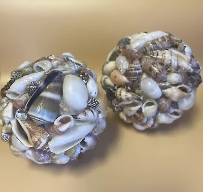 Shell Art Beach House Nautical Theme Home Decor Bathroom Decor • £11.57