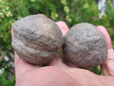 Moqui Marbles Crystal Thunderballs Giant Chakras Male Female Shaman Pair 135g • $30.49
