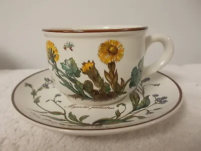 Villeroy & Boch China Botanica Porcelain Coffee Tea Cup Mug & Saucer • $14.99