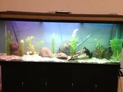 6ft Fish Tank & Accessories • $1400