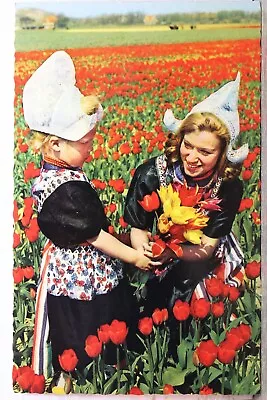 Netherlands Holland Flower Farm Field Postcard Old Vintage Card View Standard PC • $0.50