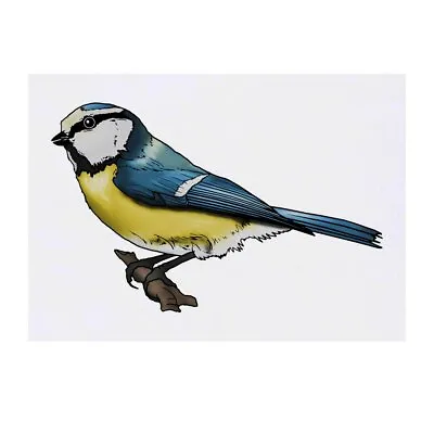 £5.99 • Buy Large 'Blue Tit' Temporary Tattoo (TO00041412)