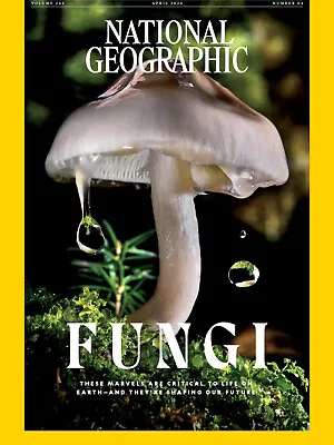 National Geographic Magazine - April 2024 - Fungi - Brand New • £16.08