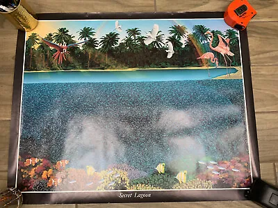 Magic Eye  SECRET LAGOON Illusion Poster 1992 3D Art * • $69.99