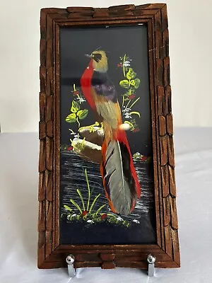 Feather Craft Hand Painted Art Vintage Bird Picture Carved Wood Frame • $19.95