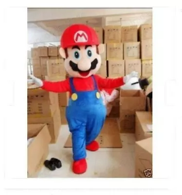 Super Mario Mascot Costumes Fancy Dress Birthday Party Brothers Suits Adult Size • $98