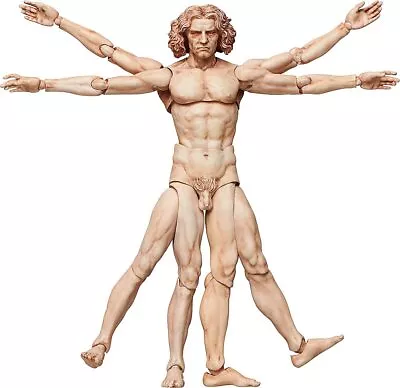 Figma Table Museum Vitruvian Man Figure Non-scale ABS PVC Action Figure FREEing • $113.36