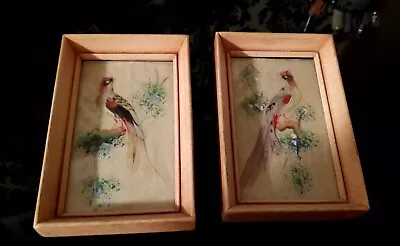 Pair Of Vintage Mexican Folk Art Feathercraft Bird Paintings In Wood Frames  • $34.39