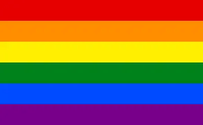 RAINBOW GAY PRIDE LGBTQ 5 X 3 FT LARGE GREAT VALUE FLAG POLYESTER NEW! • £2.99