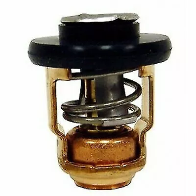 6AH-12411-00 Thermostat For Yamaha 4 Stroke F 9.9 15 20 HP Outboard Motor • $18.99