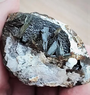 Amazing  Green Vivianite On Black Psilomelane In The Shell!!! • $69