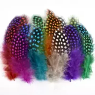 50pcs Random Mixed Colour 5-10cm Dyed Guinea Fowl Feathers DIY Craft Millinery  • $8.75