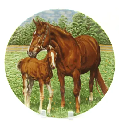 Vintage Horse Wall Plate - Mare Colt - 9 1/2  -  Kaiser West Germany - Mint • $14.99