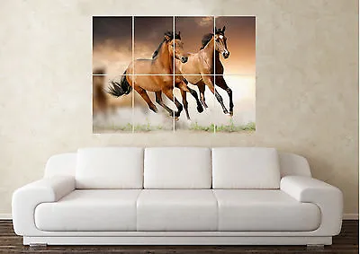 Large Horse Horse Riding Pony Stallion Wall Poster Art Picture Print • £6.49