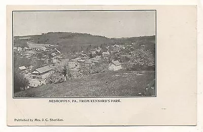 Aerial View Of MESHOPPEN From Kennard's Park PA Vintage Wyoming County Postcard • $4.89