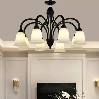 Indusy 8-Light Glass Chandelier Metal Lighting E26 Room Ceiling Light Fixtures • $119.99