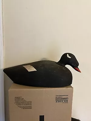 Hand Carved Antique Or  Vintage Maine White Wing Scoter Duck Decoy Full Size • $250