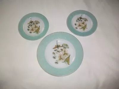 Set Of 3 French Opaline Glass Hand Painted Display Plates • £15