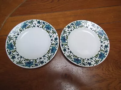 2 Midwinter Spanish Garden Salad / Dessert Plates 7  1/2   • £5