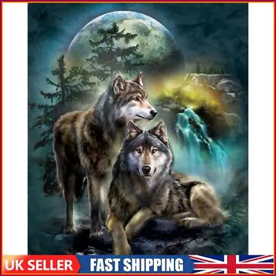 Frameless Oil Paint By Numbers DIY Wolf Picture Craft Kit For Home Living Room • £8.89