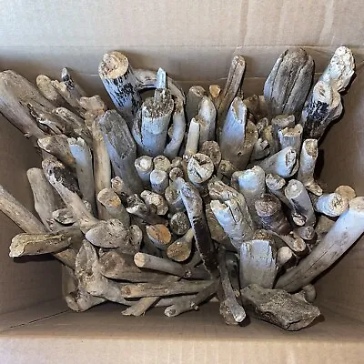 $45 • Buy 100 Count Box 7” - 11” & 100 Count Box 3” - 6” Oregon Driftwood Sticks