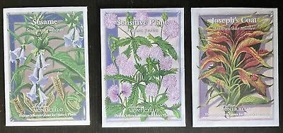 Lot Of 3 Monticello Thomas Jefferson Historic Plant Center Heirloom Seed Packets • £7.40