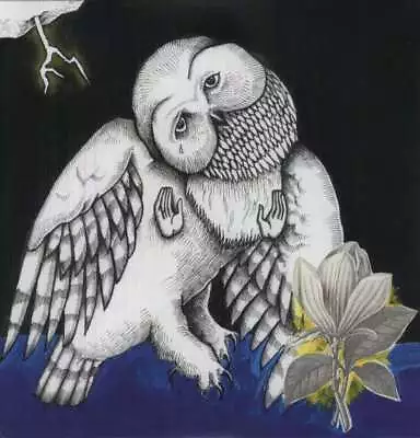 Songs: Ohia: Magnolia Electric Co. (10th-Anniversary-Deluxe-Edition) -   - (Vin • £26.63