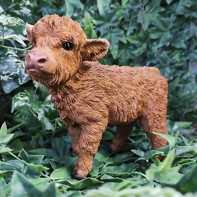 Vivid Arts - Highland Cattle Calf - PP-HLCF-F • £24.99