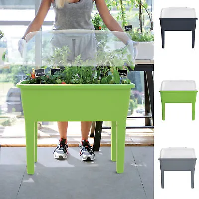 £36.95 • Buy Elevated Greenhouse Plastic Raised Garden Bed Planter Pot Box Plant Kit With Lid