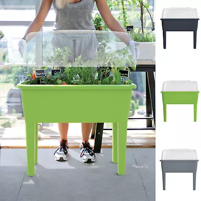 Elevated Greenhouse Plastic Raised Garden Bed Planter Pot Box Plant Kit With Lid • £36.95