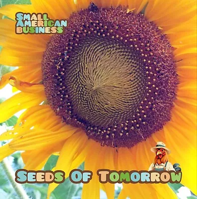 50 Organic NON-GMO Mammoth Russian Sunflower Seeds- Seeds Of Tomorrow  • $4