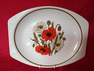 £1 • Buy Retro J&g Meakin Floral 'poppy' Design Large Sized Steak Plate