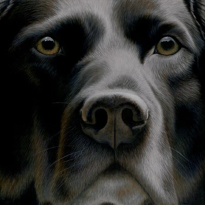 £179 • Buy Nigel Hemming LARGER THAN LIFE Print, Labrador Gun Dogs Art Canine Gift #1